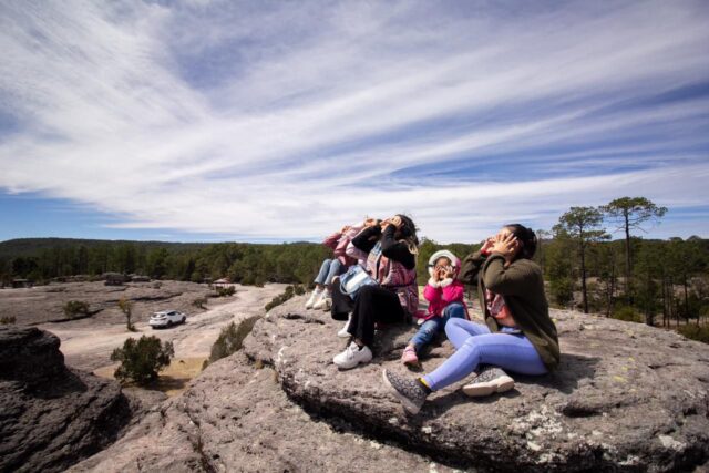 8e288bde-326b-4737-a798-e4083959d09c