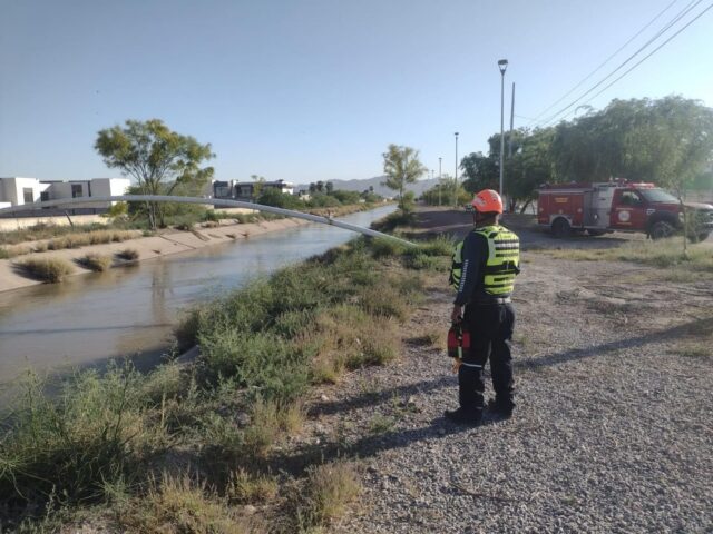 a415e772-a6d8-4753-afdf-ff2f7381c559