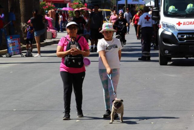 e67dd2b2-6c38-4818-9d3b-b8188ded820a