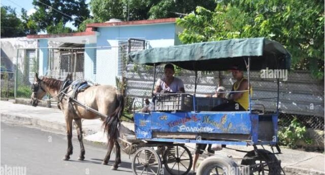 Screenshot_20240722_140638_Google