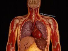 OBECIDAD: Hablar de esto no es discriminación, es ciencia/Dr.William Guerrero