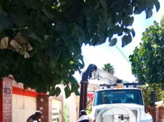 SAPAL ATIENDE DESTAPES DE DESCARGAS DOMICILIARIAS