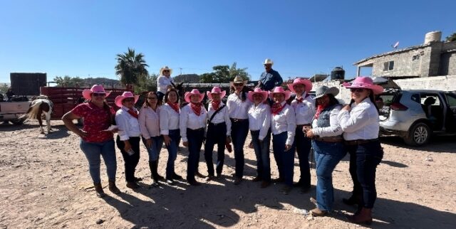 Screenshot_20251114_150404_WhatsApp