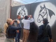 POLICÍA AMBIENTAL CLAUSURA ESTABLO POR MANEJO INDEBIDO Y PRESUNTO MALTRATO ANIMAL EN LERDO