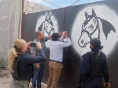 POLICÍA AMBIENTAL CLAUSURA ESTABLO POR MANEJO INDEBIDO Y PRESUNTO MALTRATO ANIMAL EN LERDO