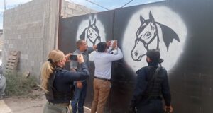 POLICÍA AMBIENTAL CLAUSURA ESTABLO POR MANEJO INDEBIDO Y PRESUNTO MALTRATO ANIMAL EN LERDO