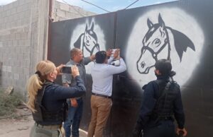 POLICÍA AMBIENTAL CLAUSURA ESTABLO POR MANEJO INDEBIDO Y PRESUNTO MALTRATO ANIMAL EN LERDO