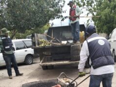 ACCIONES DE BACHEO CONTINÚAN CON NORMALIDAD DURANTE PUENTE