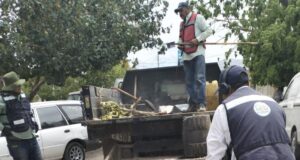 ACCIONES DE BACHEO CONTINÚAN CON NORMALIDAD DURANTE PUENTE