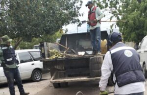 ACCIONES DE BACHEO CONTINÚAN CON NORMALIDAD DURANTE PUENTE