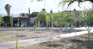 SUSY TORRECILLAS CONTINÚA CON ACCIONES DE REFORESTACIÓN EN PLAZAS DE COLONIAS DE LERDO