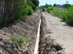AVANZA AL 60 POR CIENTO CONSTRUCCIÓN DE LÍNEA MORADA PARA RIEGO DEL PARQUE FORESTAL LERDO