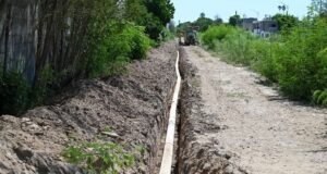 AVANZA AL 60 POR CIENTO CONSTRUCCIÓN DE LÍNEA MORADA PARA RIEGO DEL PARQUE FORESTAL LERDO