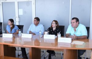 INFORME DE COMISIONES