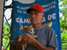 ¡CAMBIA UNA VIDA! ADOPTA UN AMIGO ESTE JUEVES EN LERDO 🐾