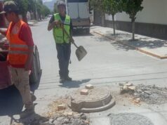 SAPAL MANTIENE REPOSICIÓN PERMANENTE DE BROCALES EN DISTINTOS SECTORES DE LERDO