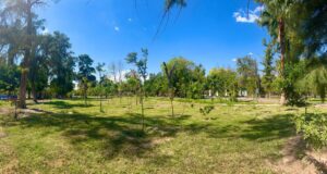FORTALECEN RECUPERACIÓN DE ÁREAS VERDES EN EL BOSQUE VENUSTIANO CARRANZA