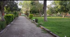 Benditas lluvias: reverdece bosque Venustiano Carranza de Torreón