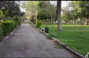 Benditas lluvias: reverdece bosque Venustiano Carranza de Torreón