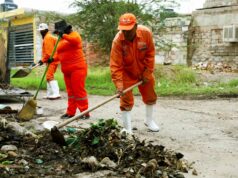 SERVICIOS PÚBLICOS REPORTA ATENCIÓN TOTAL DE ÁRBOLES CAÍDOS DURANTE CONTINGENCIA