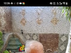 Lic. Fernando Rangel de León presenta libro de su autoría: «VISIÓN DE MATAMOROS»/Francisco Hernández González